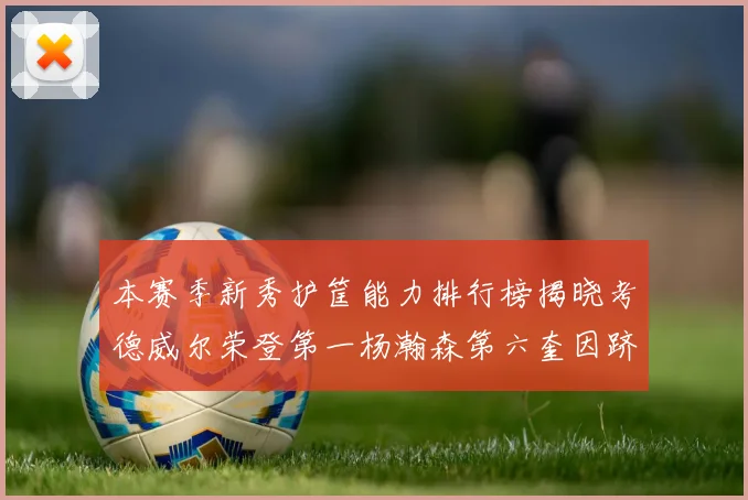 本赛季新秀护筐能力排行榜揭晓考德威尔荣登第一杨瀚森第六奎因跻身前十
